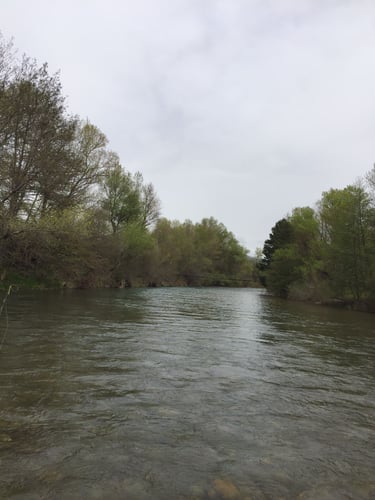 Epic Spanish Pyrenees Fly Fishing In Fiscal