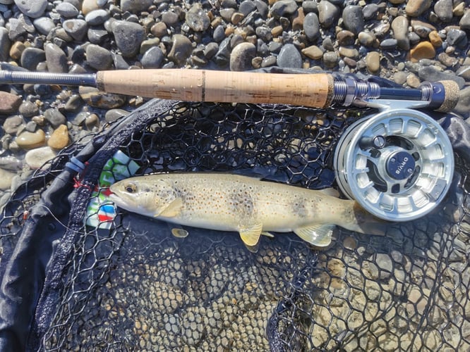 Epic Spanish Pyrenees Fly Fishing In Fiscal