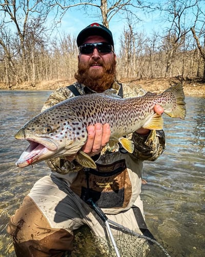 "Pennsylvania Pigs" Light Tackle Trout Fishing
