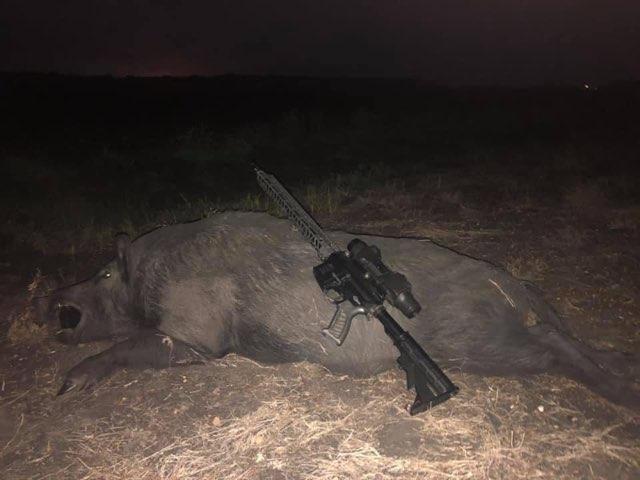 Houston Area Thermal Hog Hunt In Sargent