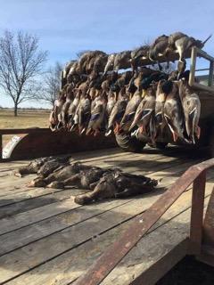 El Campo Duck Hunt In El Campo