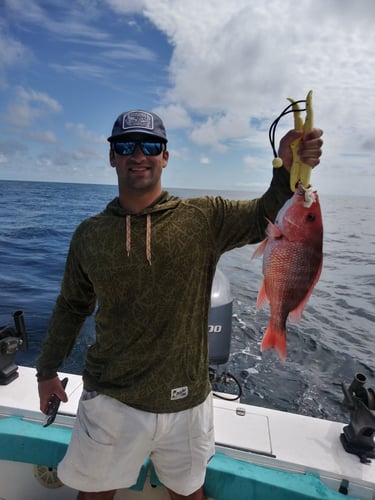 1/2 Day Quick Offshore Trip In St. Marys