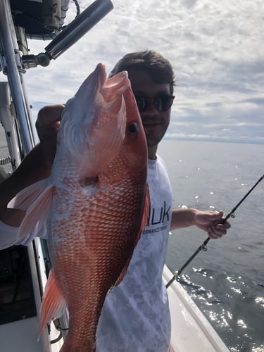 Full Day Offshore Trip In St. Marys