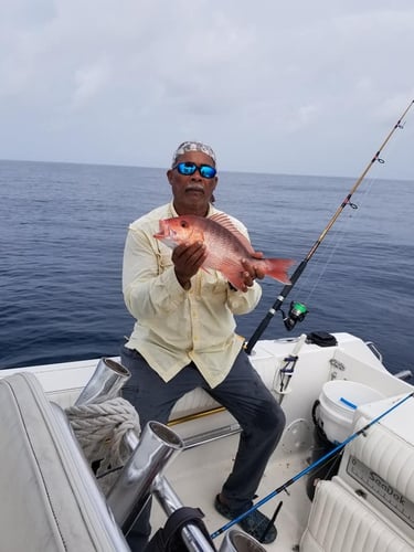 Bottomfishing Trip in Wrightsville Beach