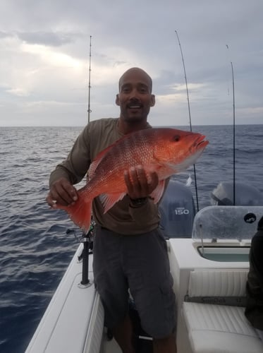 Bottomfishing Trip in Wrightsville Beach