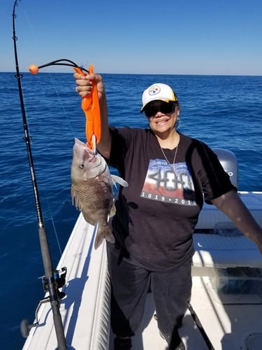 Bottomfishing Trip in Wrightsville Beach