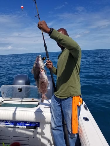 Bottomfishing Trip In Wrightsville Beach