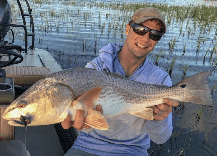 Half Day Trip – Fly Fishing In Tampa