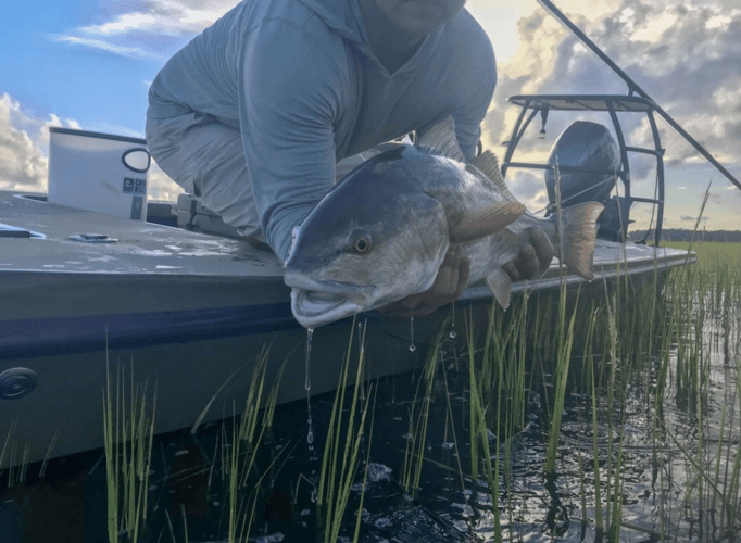Half Day Trip – Fly Fishing In Tampa