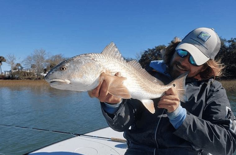 Half Day Trip – Fly Fishing In Tampa