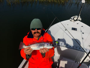Half Day Trip – Fly Fishing In Tampa