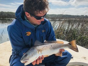 Half Day Trip – Fly Fishing In Tampa