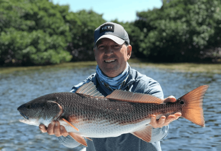 Half Day Trip – Fly Fishing In Tampa