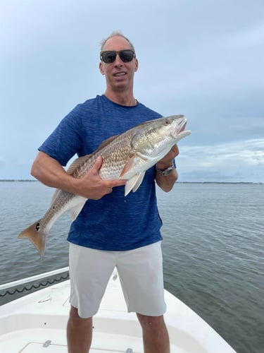 Santa Rosa Beach Inshore Catch In Santa Rosa Beach