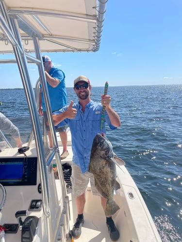 Santa Rosa Beach Inshore Catch In Santa Rosa Beach