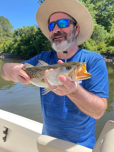 Santa Rosa Beach Inshore Catch In Santa Rosa Beach