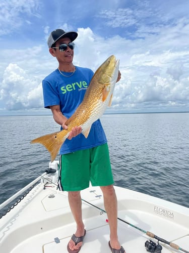 Santa Rosa Beach Inshore Catch In Santa Rosa Beach