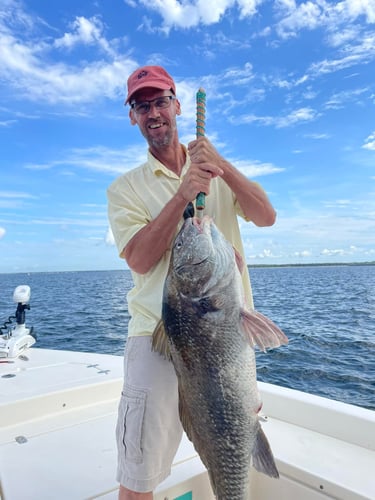 Santa Rosa Beach Inshore Catch In Santa Rosa Beach