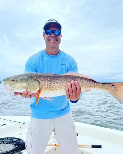 Santa Rosa Beach Inshore Catch In Santa Rosa Beach