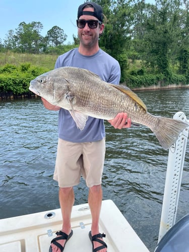 Santa Rosa Beach Inshore Catch In Santa Rosa Beach