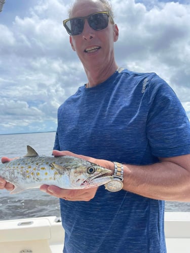 Santa Rosa Beach Inshore Catch In Santa Rosa Beach