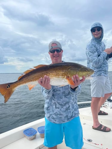 Santa Rosa Beach Inshore Catch In Santa Rosa Beach