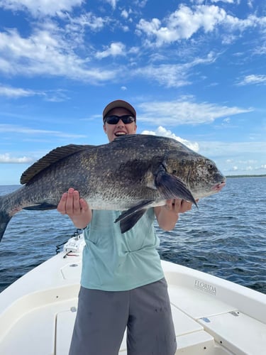 Santa Rosa Beach Inshore Catch In Santa Rosa Beach