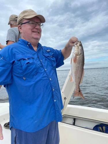 Santa Rosa Beach Inshore Catch In Santa Rosa Beach