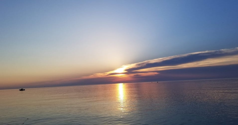 Lake Erie Steelhead On The Fly In Erie