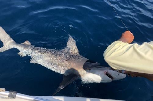Jacksonville Inshore Fishing in Jacksonville