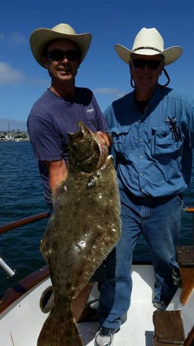 Local Excursion - 42’ Hershine In San Diego