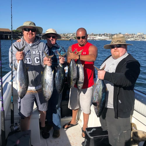 Full Day Local Offshore - 42’ Hershine In San Diego