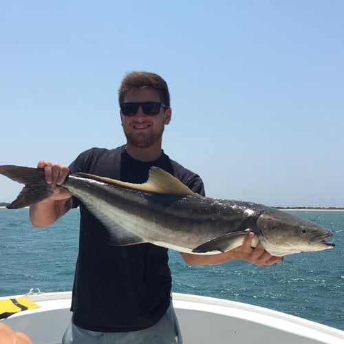 Inshore Trolling Trip in Morehead City