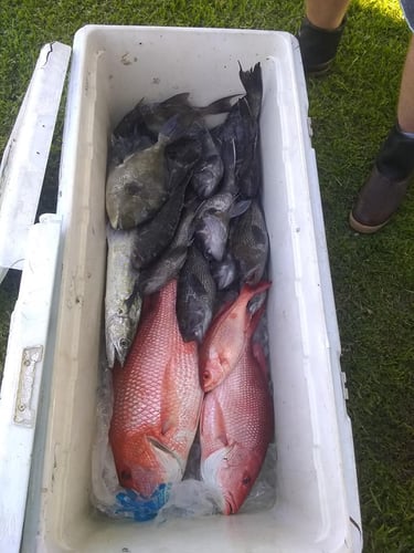 NC Full Day Trip in Morehead City