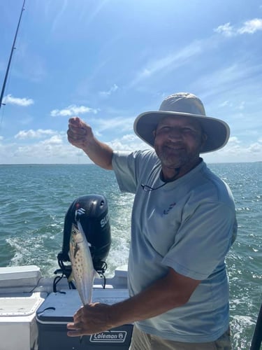 NC Full Day Trip in Morehead City