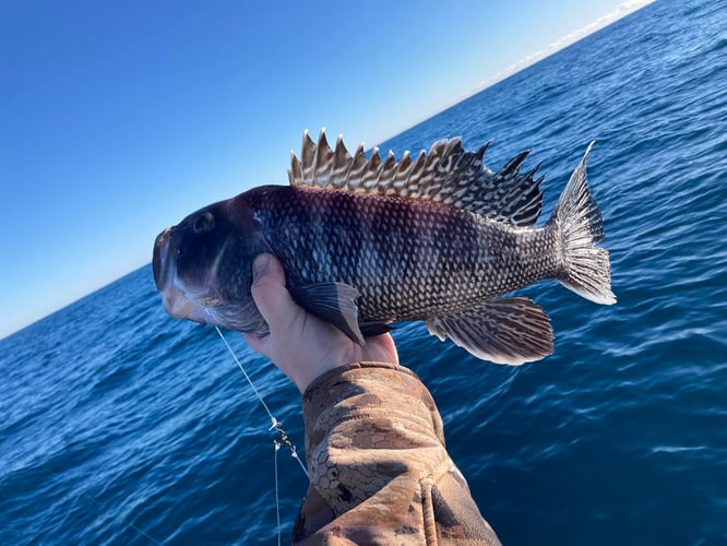 NC Full Day Trip in Morehead City