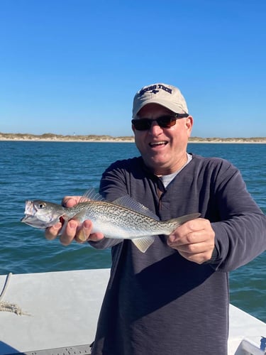 Inshore Trolling Trip in Morehead City