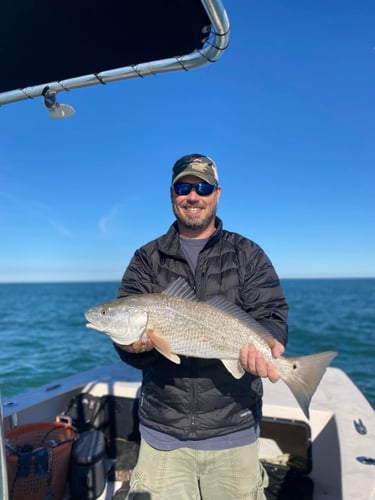 Harker's Island Charter In Beaufort