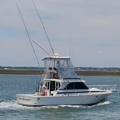Offshore Trolling Trip in Beaufort