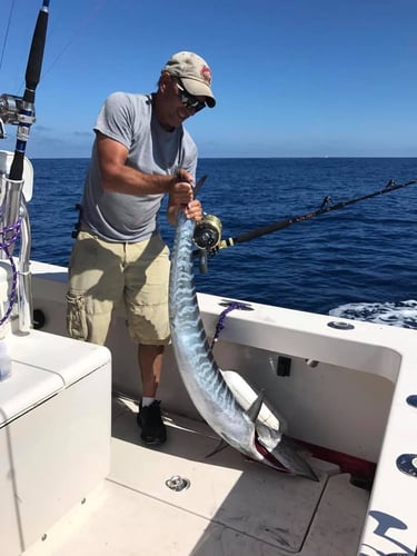 Offshore Trolling Trip in Beaufort
