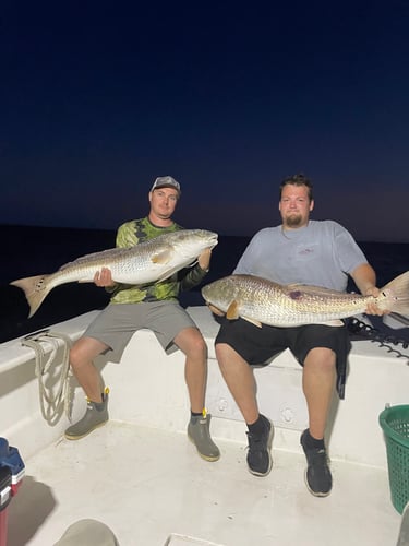 Trophy Red Drum Trip in Cedar Island