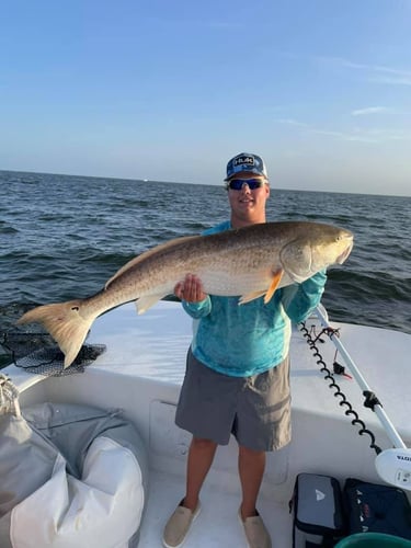 Trophy Red Drum Trip in Cedar Island