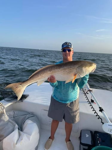 Trophy Red Drum Trip In Beaufort