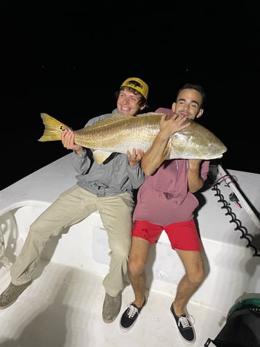 Trophy Red Drum Trip In Beaufort