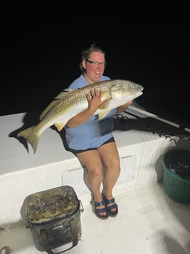 Trophy Red Drum Trip in Cedar Island