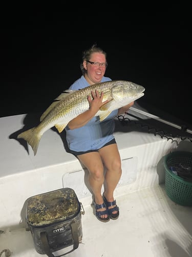 Trophy Red Drum Trip In Beaufort