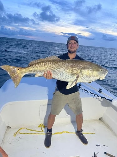 Trophy Red Drum Trip in Cedar Island