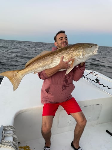 Trophy Red Drum Trip in Cedar Island