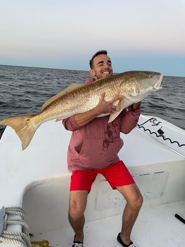 Trophy Red Drum Trip In Beaufort