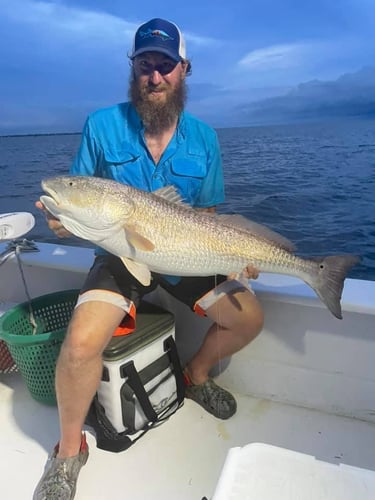 Trophy Red Drum Trip in Cedar Island